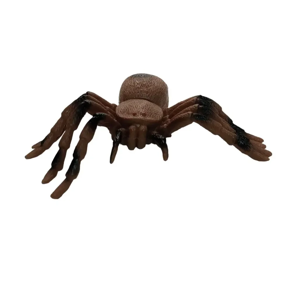 Realistic Fake Insects Spider Fly Bee 🕷️🐝🪰 Creepy Crawling Prank Prop Set